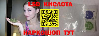мяу мяу мука Краснознаменск